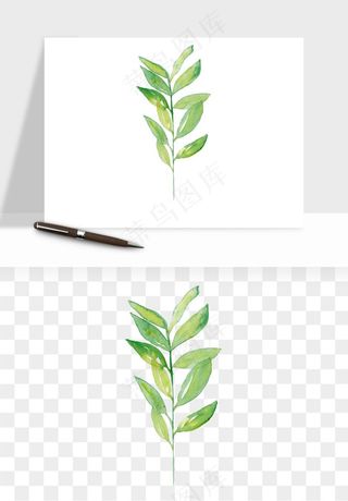 清新手绘植物png免抠