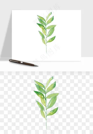 清新手绘植物png免抠