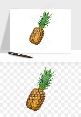 菠萝水果png免抠