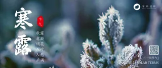 寒露公众号首图