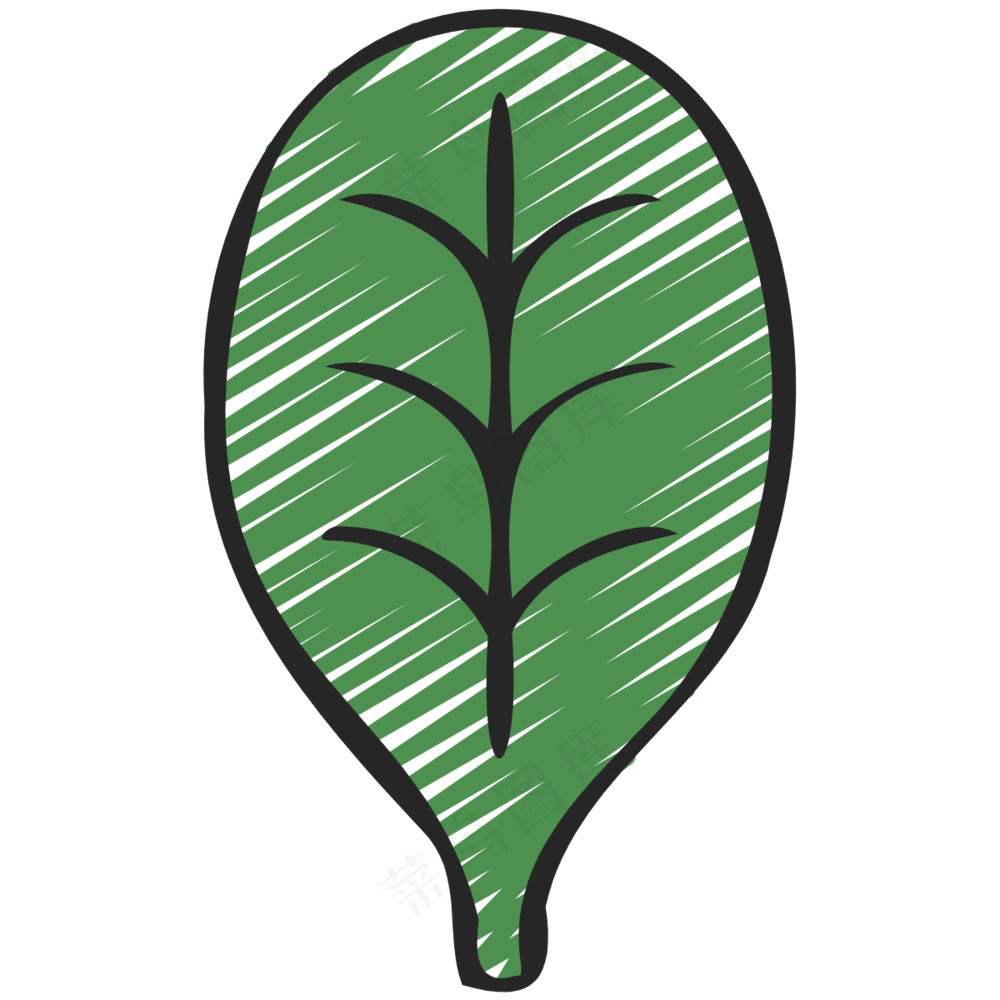 菠菜 spinach 绿色健康食品 铅笔手绘图标 icon