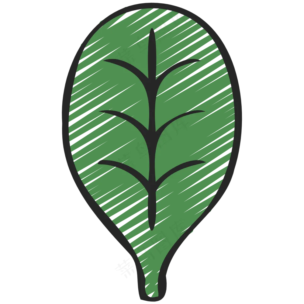 菠菜 spinach 绿色健康食品 铅笔手绘图标 icon