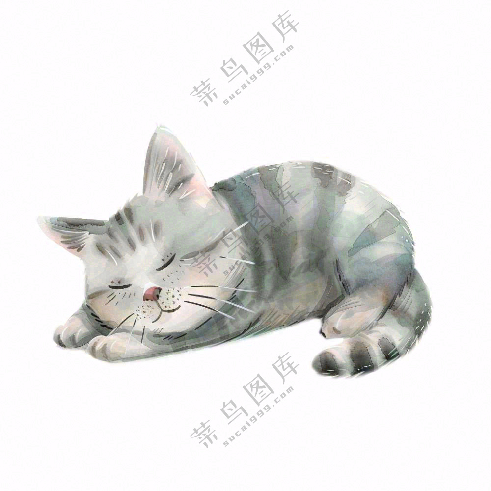 萌宠宠物卡通小猫可爱免抠