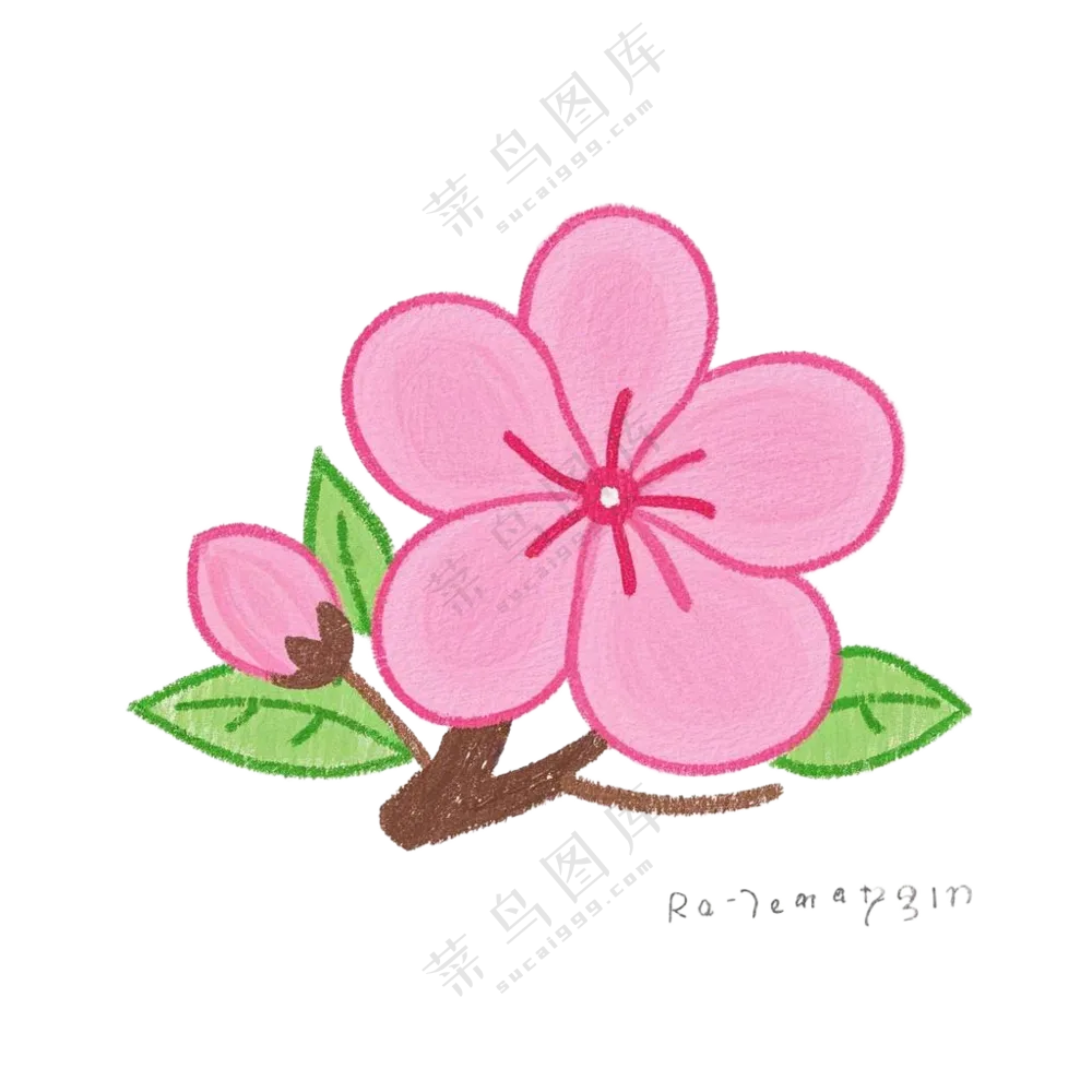 桃花红色春分免扣图