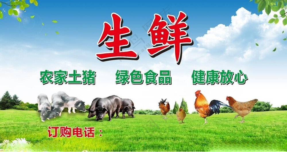 农家土猪设计海报设计
