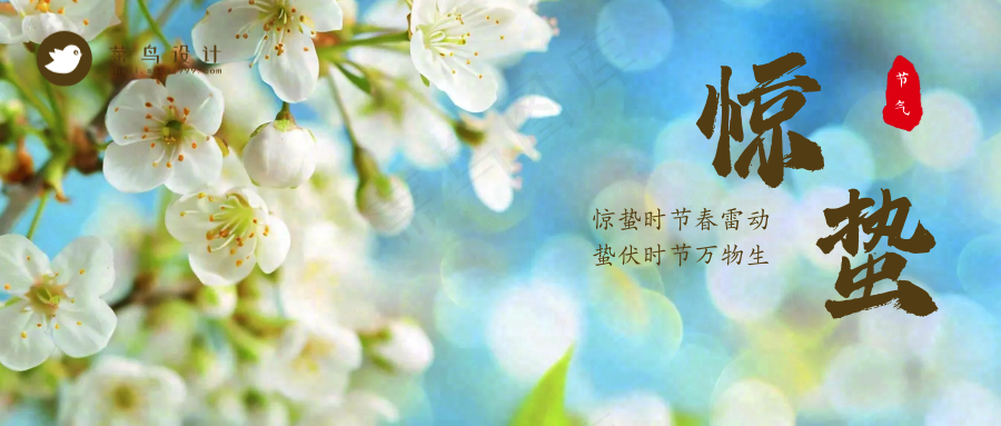 惊蛰公众号首图