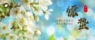 惊蛰公众号首图