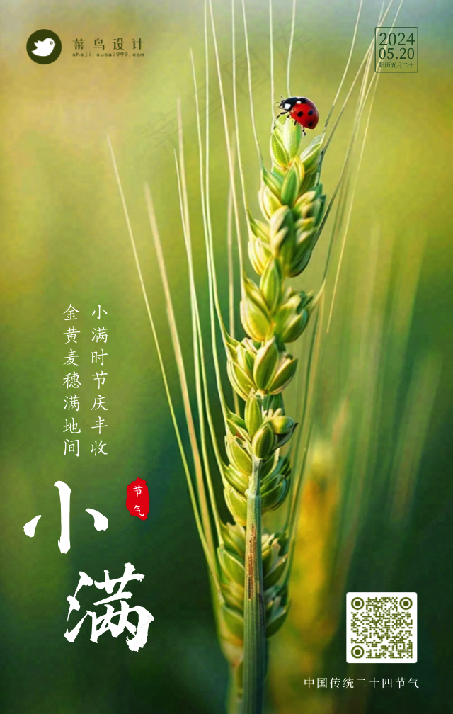 小满手机海报
