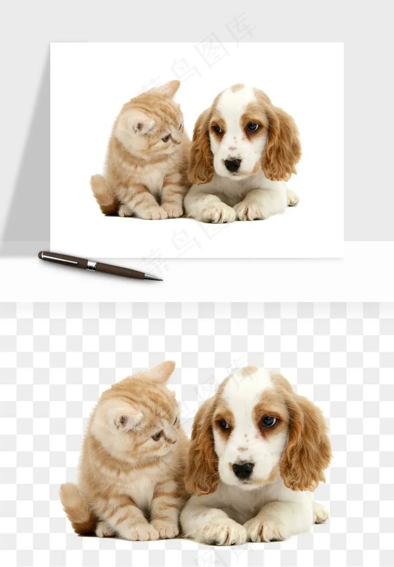 猫咪喵星人狗狗宠物元素png免抠