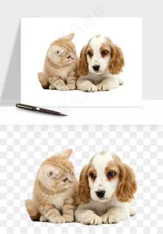 猫咪喵星人狗狗宠物元素png免抠