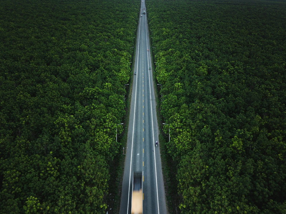 绿意盎然中的孤独公路