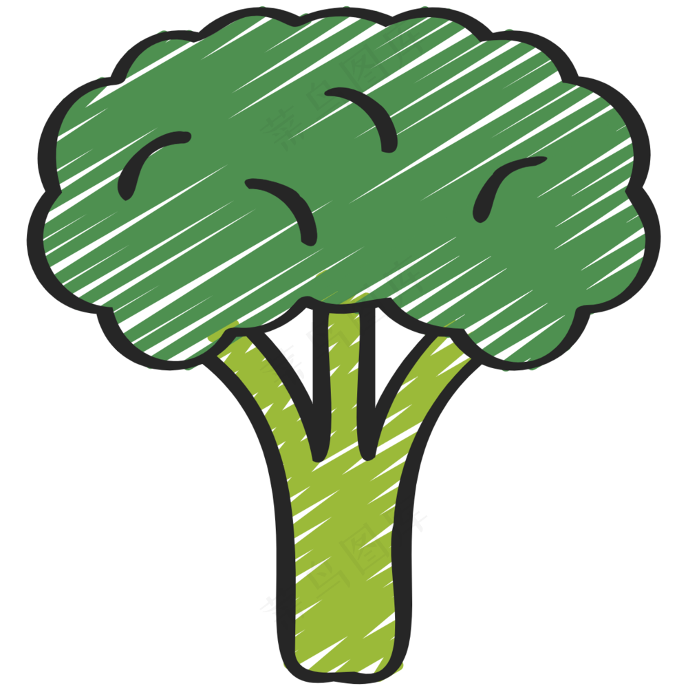 花椰菜 花菜 broccoli 绿色健康食品 铅笔手绘图标icon