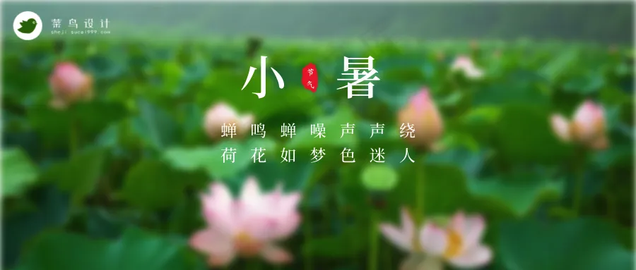 小暑公众号首图