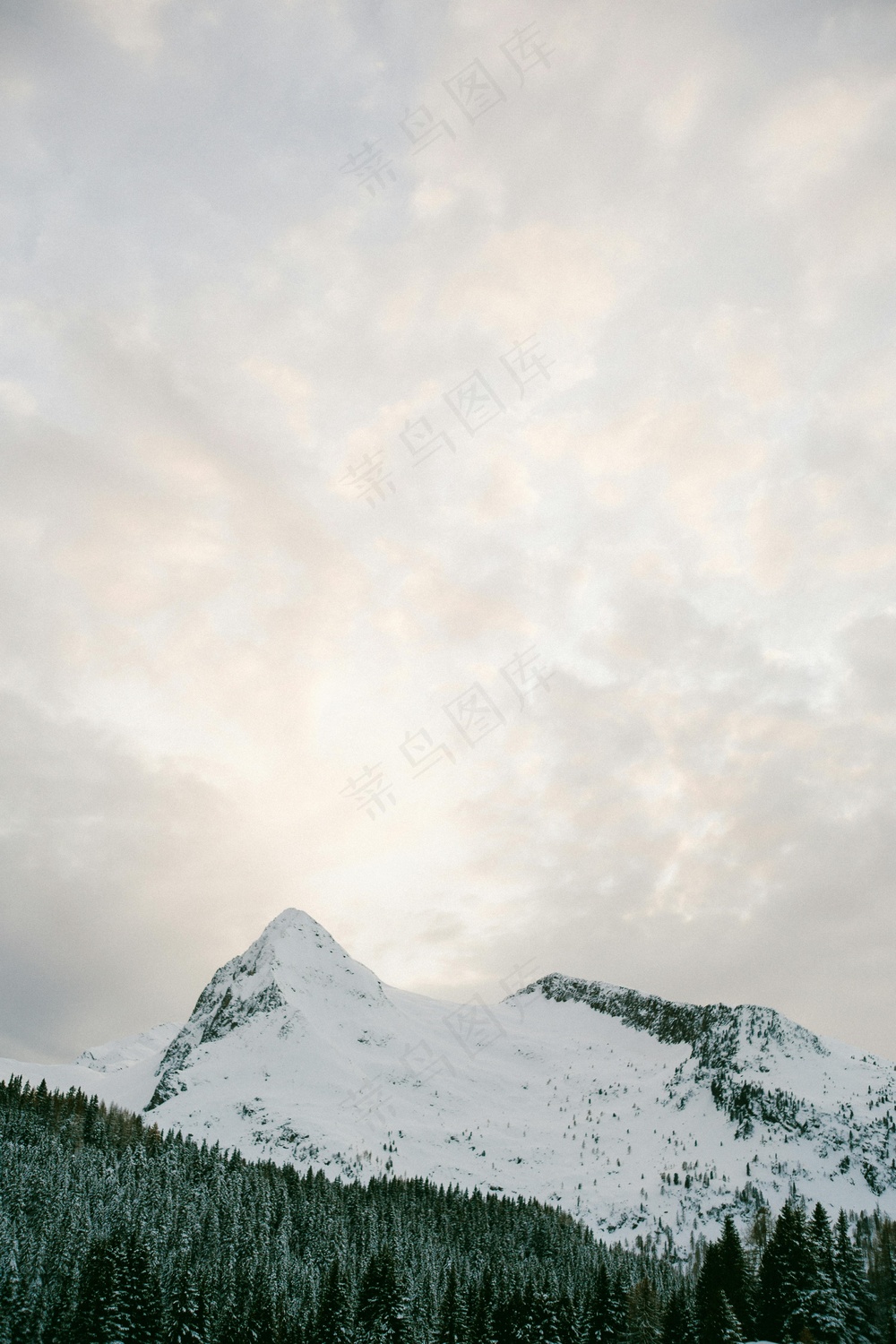雪峰静谧云图·灰白风格冬景赏