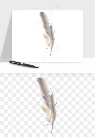 白羽毛漂浮彩色羽毛png免抠
