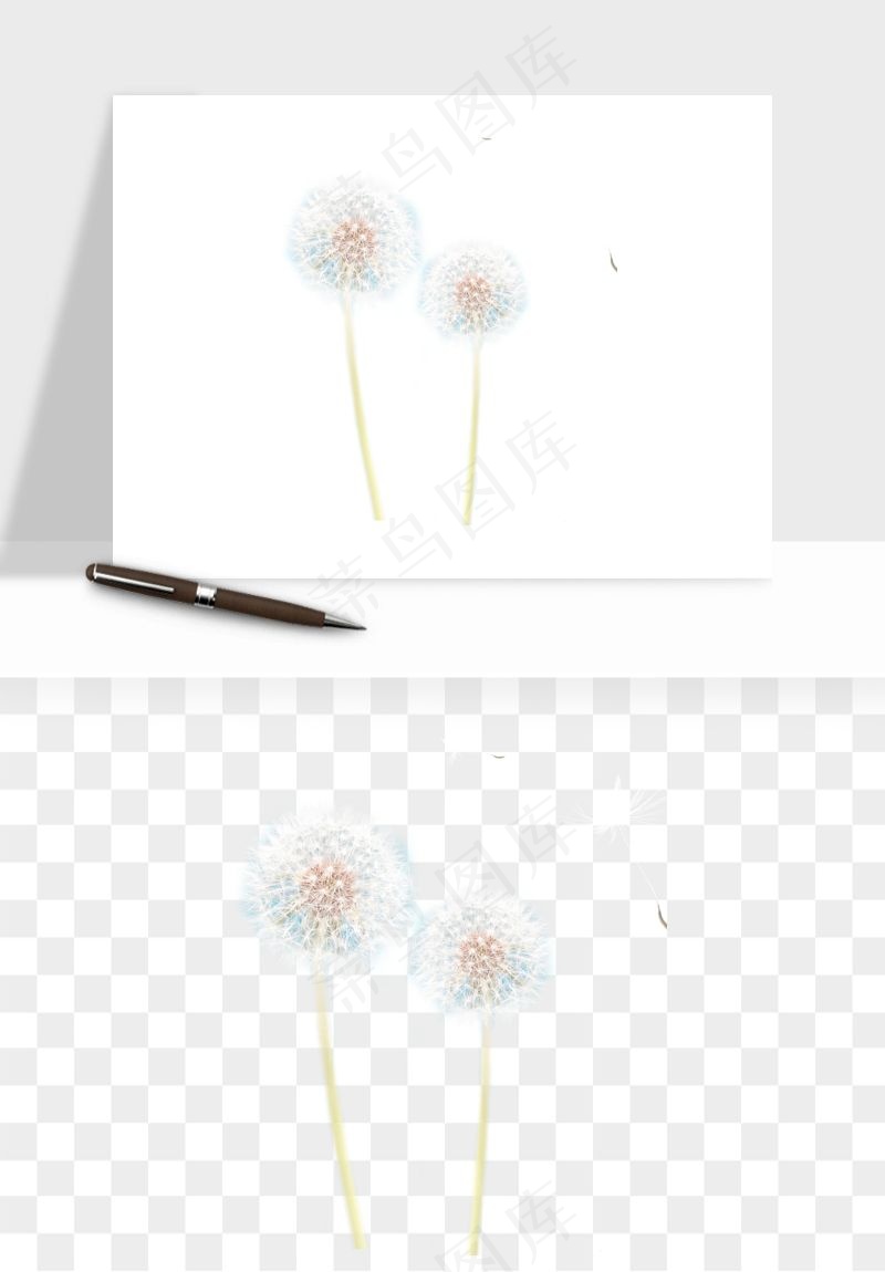 唯美蒲公英种子png免抠