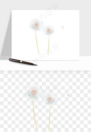 唯美蒲公英种子png免抠