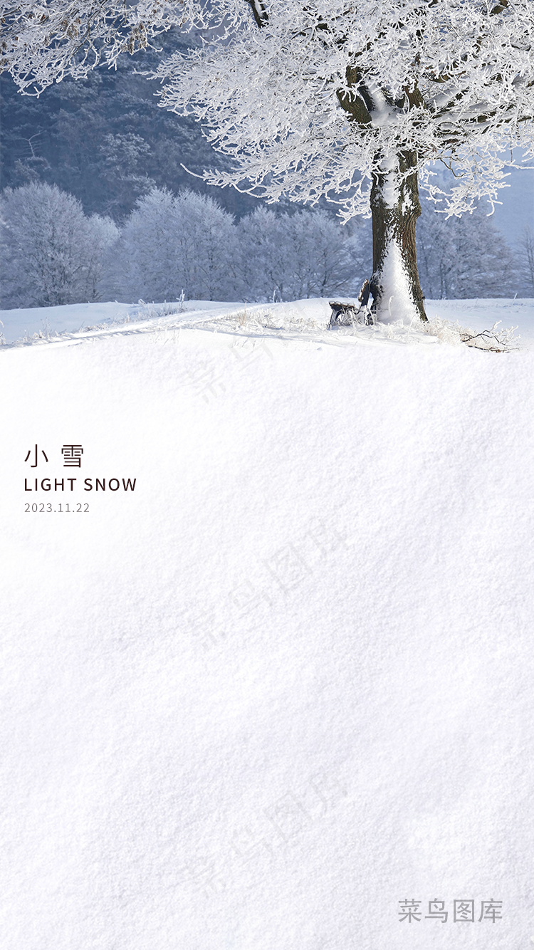 小雪大留白海报