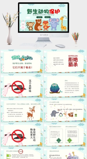 保护野生动物绿色环保PPT预览图