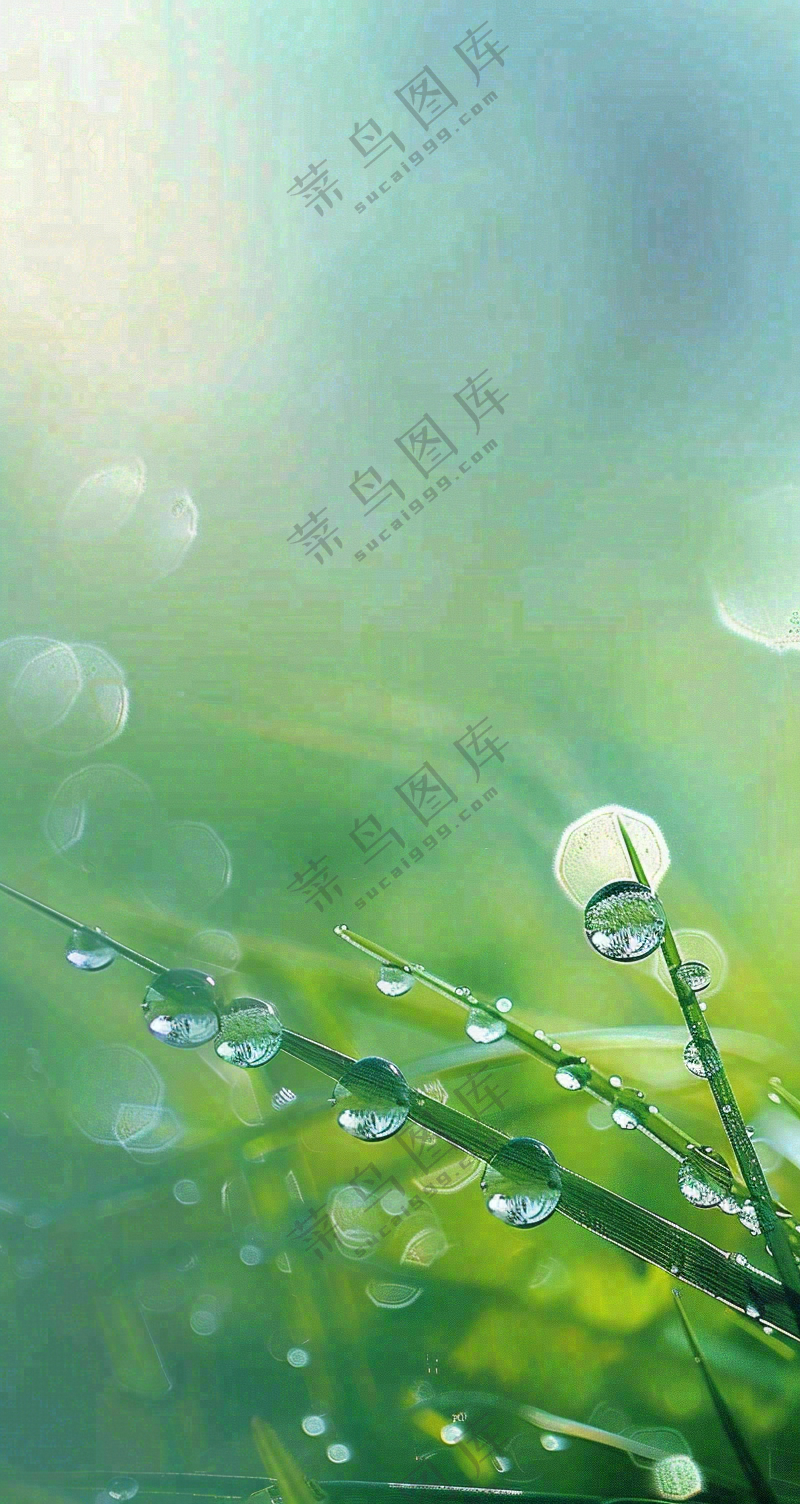 白露节气