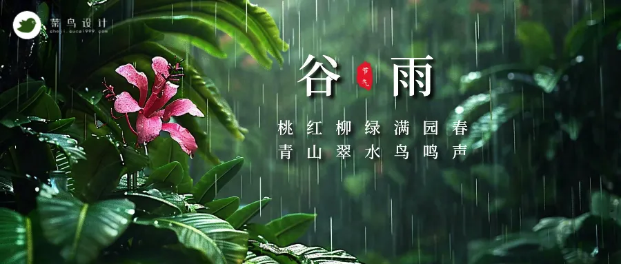 谷雨公众号首图
