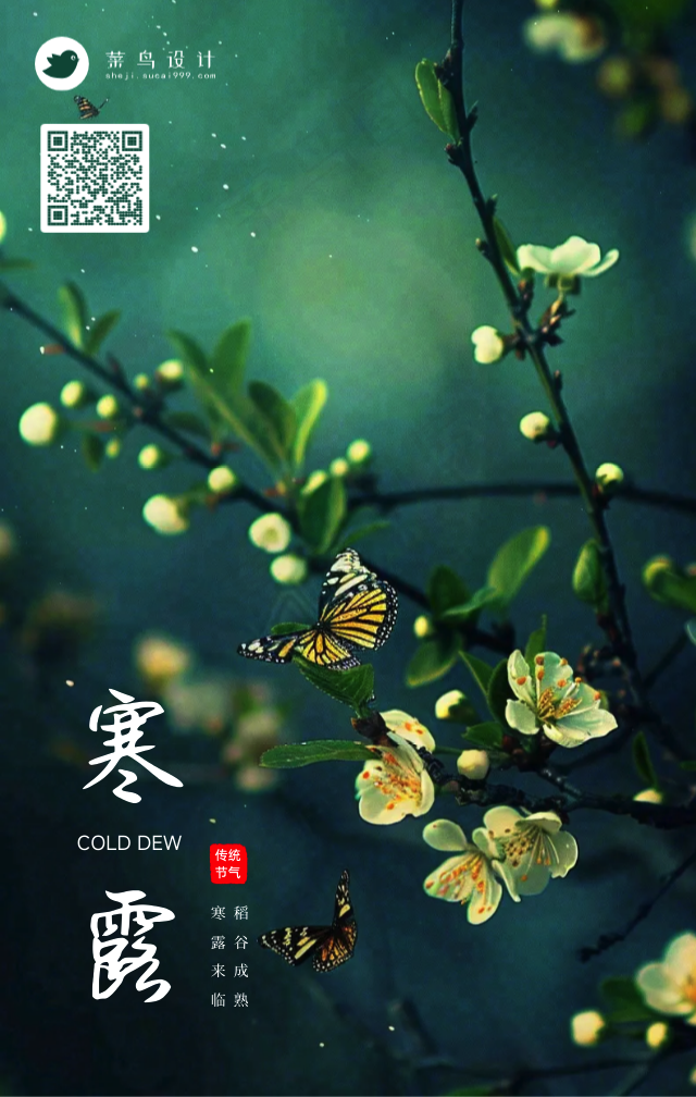 寒露手机海报