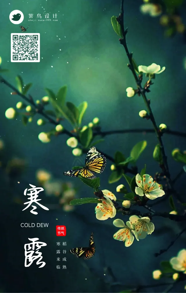 寒露手机海报