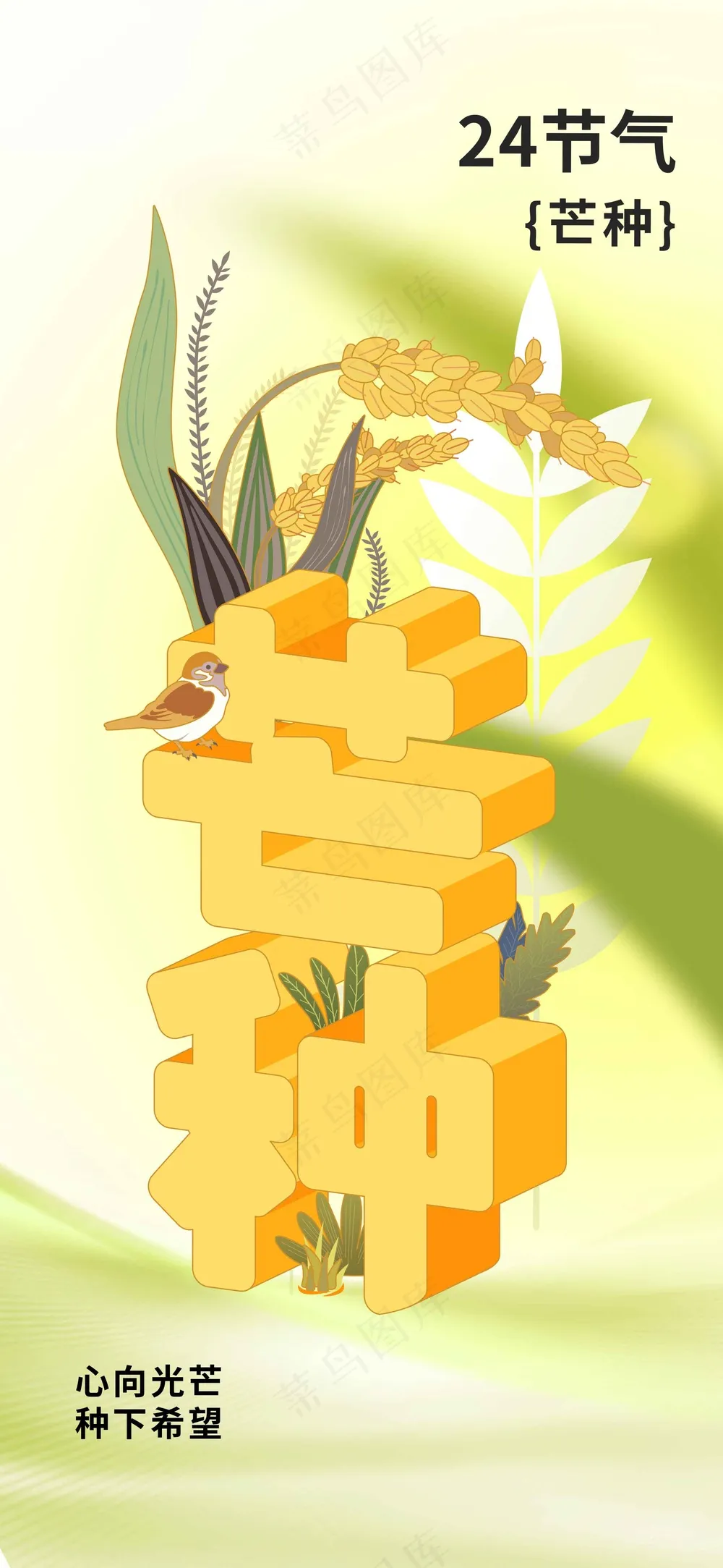 简约插画芒种节气传统海报