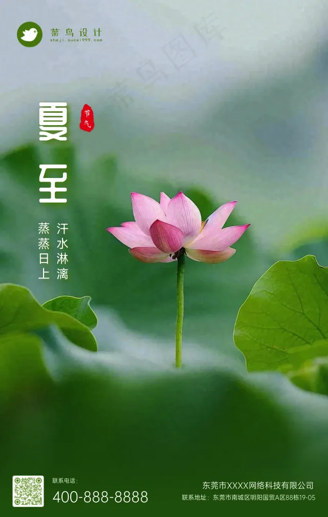 夏至手机海报