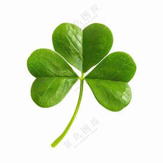 绿色四叶草三叶草植物免抠