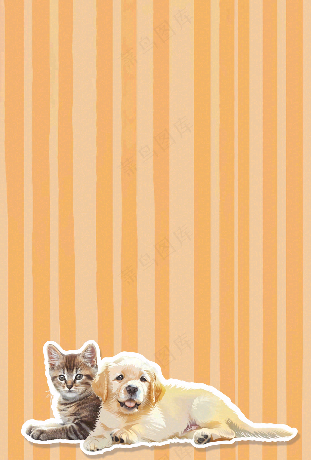 宠物常识宠物攻略猫狗卡通插画背景