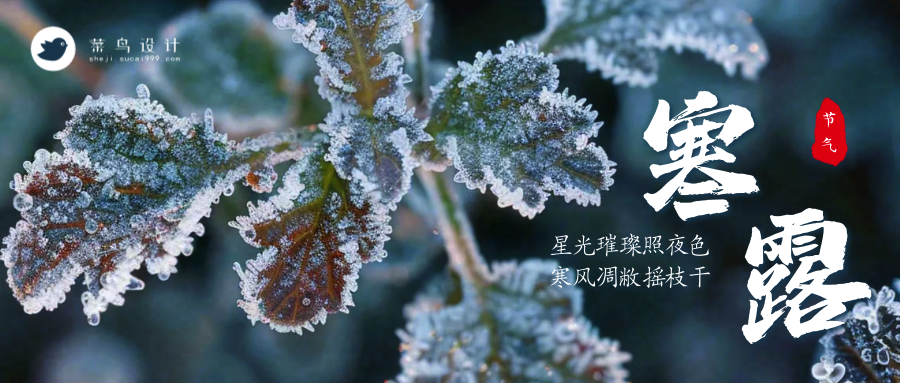 寒露公众号首图