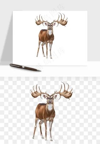 手绘梅花鹿小鹿麋鹿png免抠