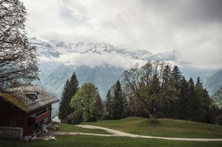山麓灰瓦木屋景·田园静谧风格·绿灰雪调·宜居向往