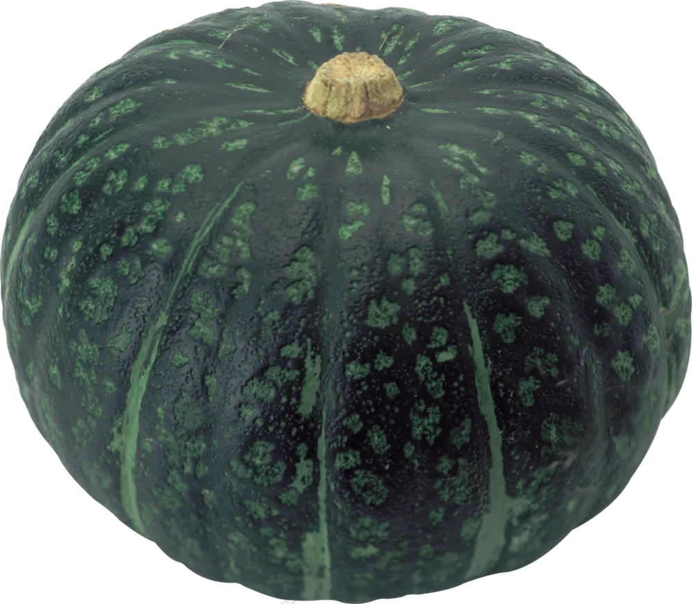 青色外观南瓜食材主题免抠图片素材