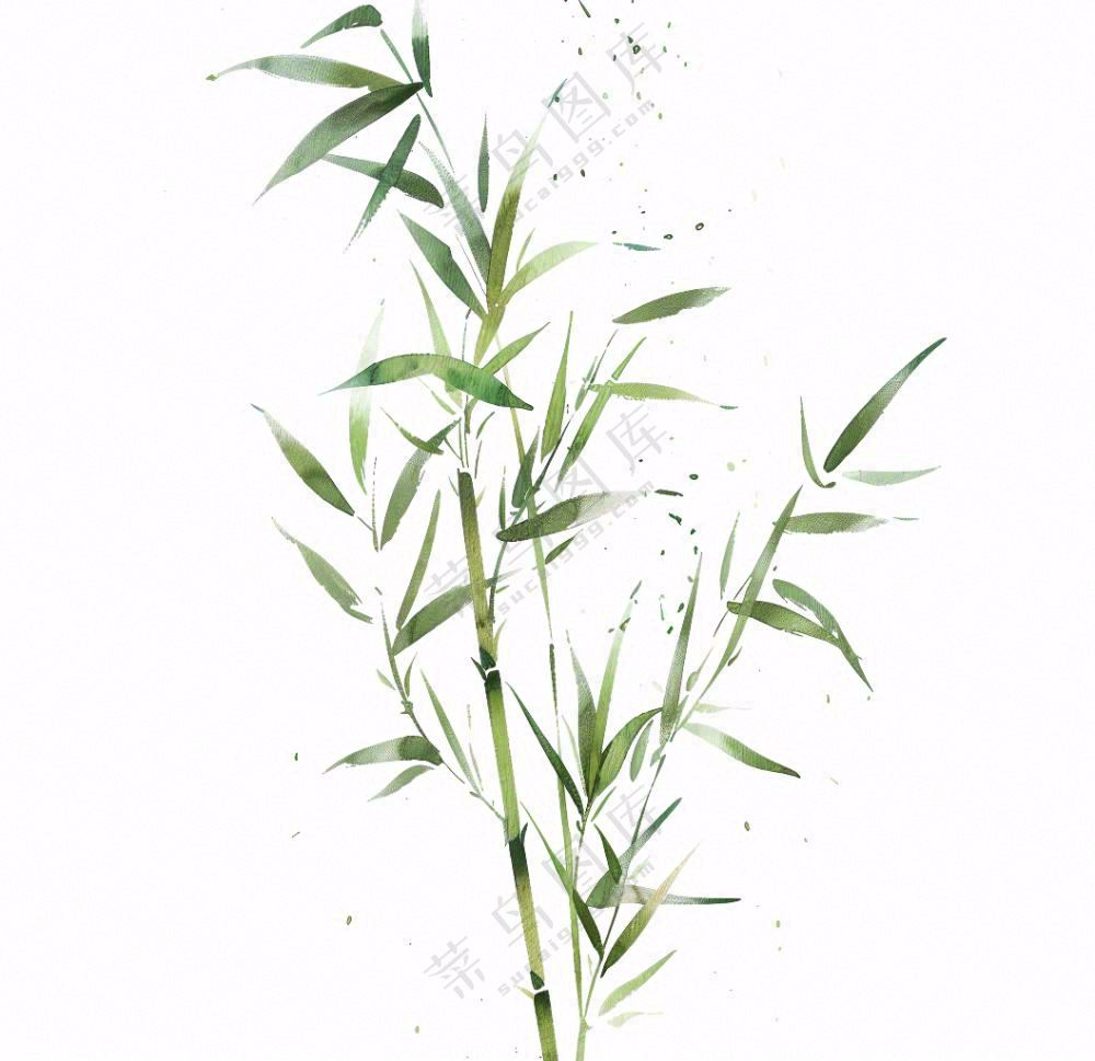绿竹竹子绿植水墨画插画免抠