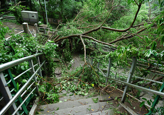 台风预警天气自然灾害