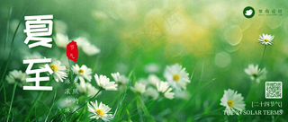 夏至公众号首图