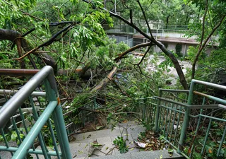 台风预警天气自然灾害