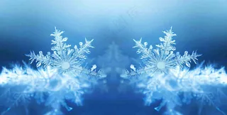 冬季雪花水晶蓝色寒冷小寒大寒大雪摄影图