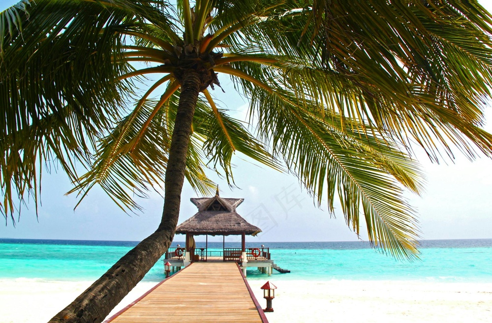 棕榈倚波宁静画·简约风情·蓝白闲适