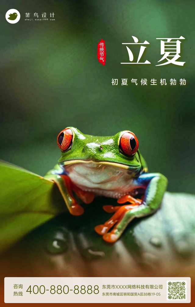 立夏手机海报