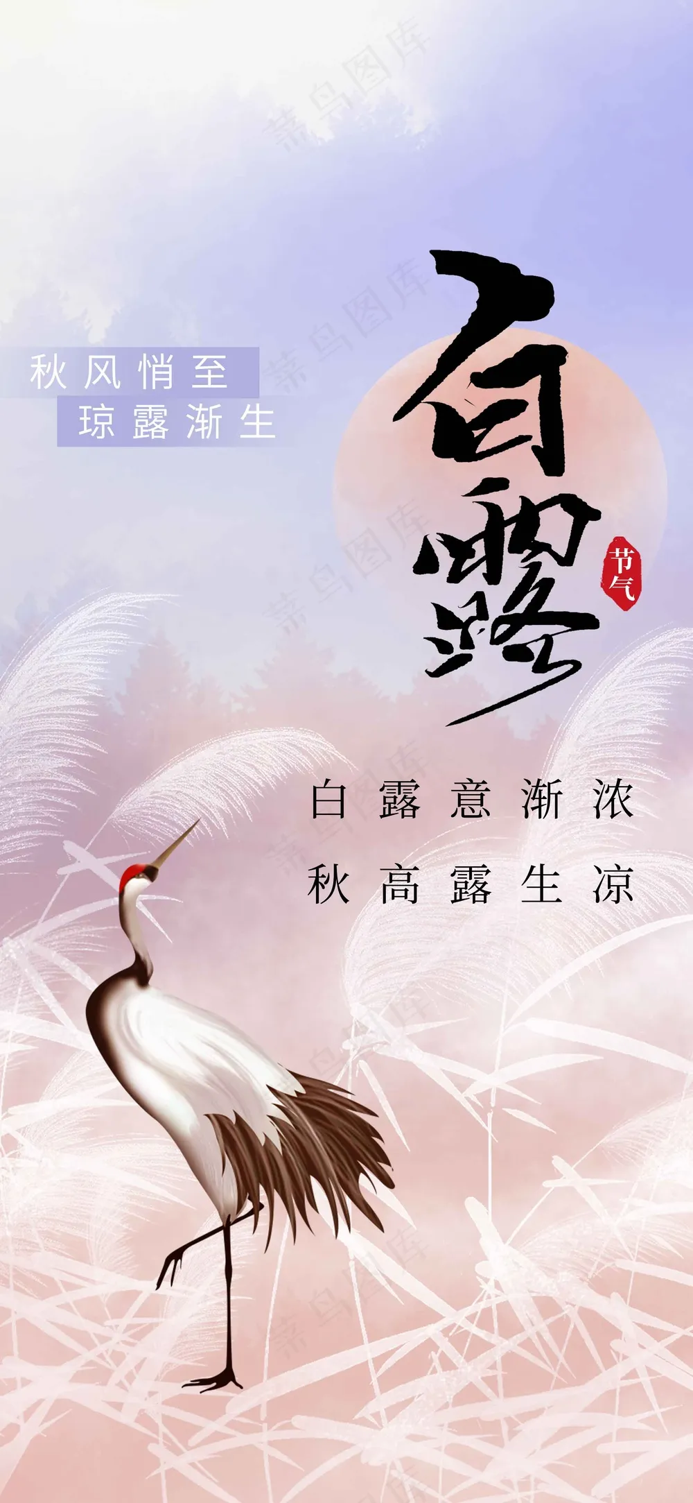 白露节气传统活动海报