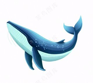海洋鲸鱼动物卡通插画免抠