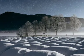 雪野星夜静谧图·寒林霜冻观赏画
