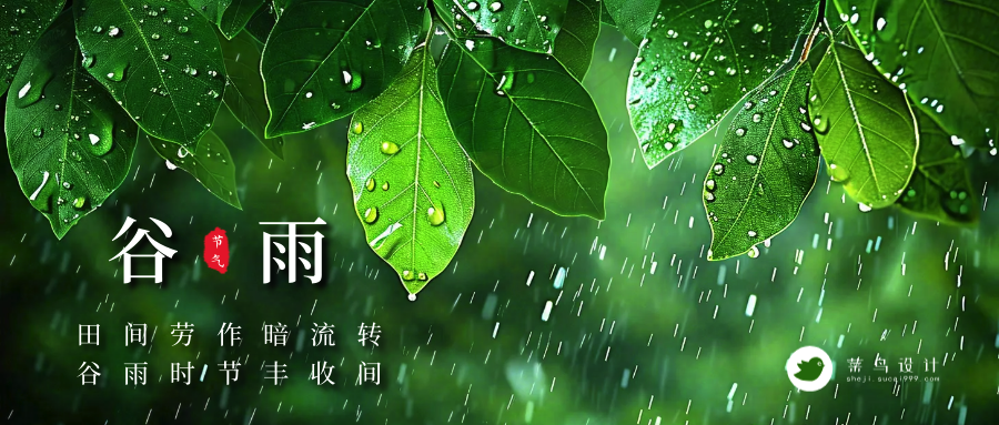 谷雨公众号首图