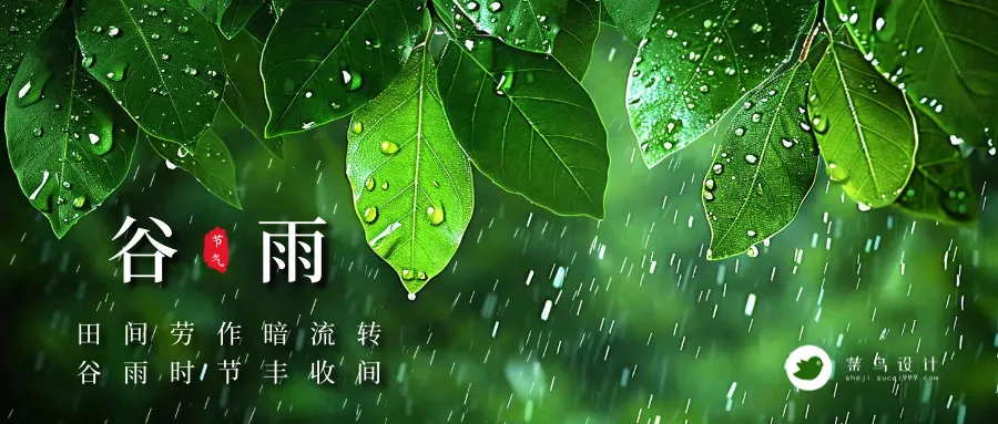 谷雨公众号首图