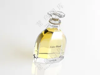 C4D香水化妆品瓶子产品包装玻璃瓶3D模型 fbx/obj -11
