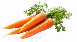 新鲜胡萝卜蔬菜免抠