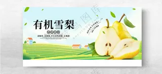 有机雪梨水果展板雪梨鸭梨海报